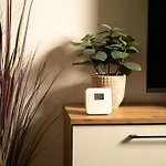 Apartamento Lazos *